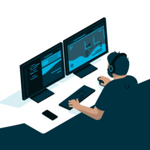 Web Development Ecommerce Package